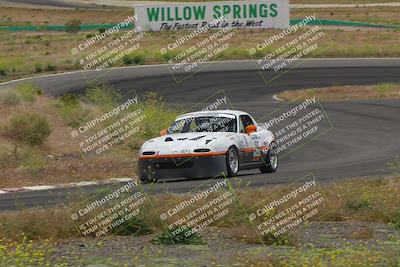 media/May-04-2024-Lucky Dog Racing (Sat) [[d39539b3f3]]/Race Pics/1230pm (Turn 4a)/